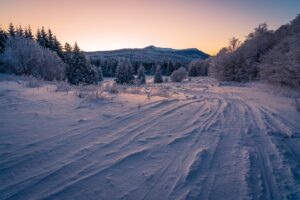 snow, fields, trees-4963715.jpg